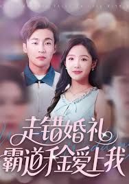 走错婚礼霸道千金爱上我